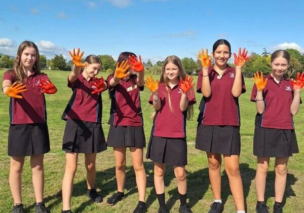 wordpress-post0R5LWa