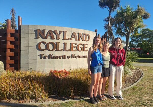 wordpress-postaDpD0j