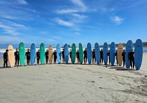 wordpress-postq5lgKu