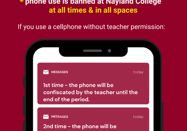 wordpress-postreBuVV